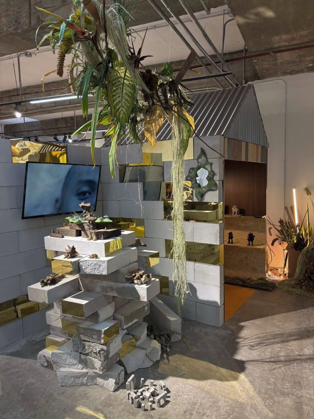 PURVEYR Plaza showroom scene